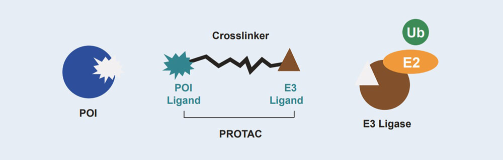  PROTAC ҩ﷢ּƽ̨